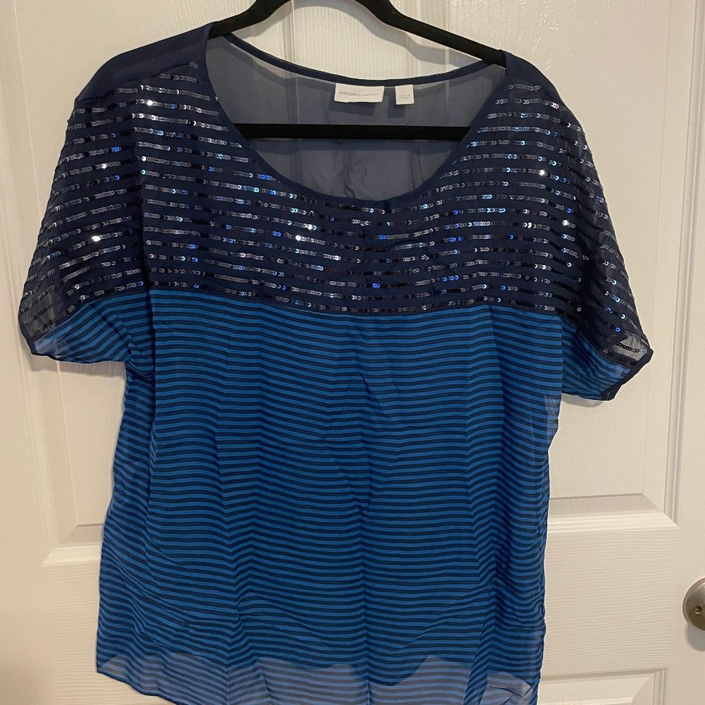 Blue Sequins and Stripes Blouse